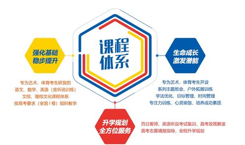 藝考之路，文化為帆——廣州藝體生高考文化課精品課程指南