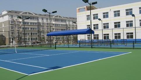 生產(chǎn),銷售,工程施工為一體的專業(yè)體育場(chǎng)地設(shè)施營造企業(yè)