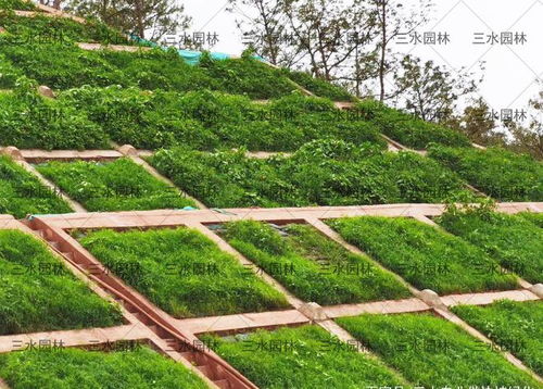 內(nèi)江市高速公路邊坡施工找專(zhuān)業(yè)的工程隊(duì)