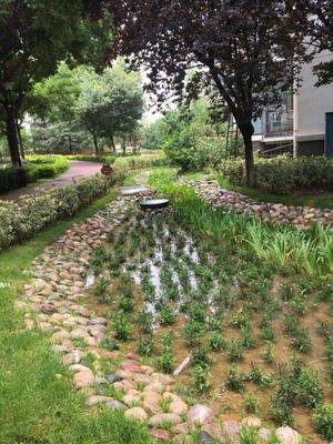 提高海綿城市建設(shè)工程質(zhì)量青島市舉辦施工人員培訓(xùn)會|半島網(wǎng)