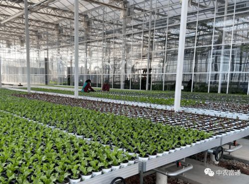 全力打造精品工程 2021年重點建設項目盤點