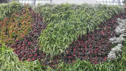 南京屋頂花園|南京立體綠化|南京園林綠化|南京園林工程|南京園林綠化施工|南京松翠園林建設