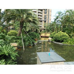 【工廠綠化養護、學校綠化養護、小區綠化養護修剪、園林綠化施工】-