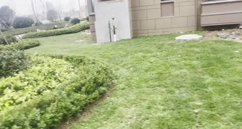 城市芳華動態(tài) 小區(qū)綠化正在施工中 日照安居客