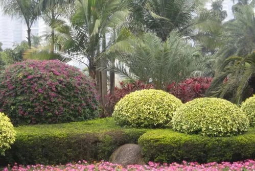 園林植物種植施工工序與園林綠化工程實(shí)施要點(diǎn)