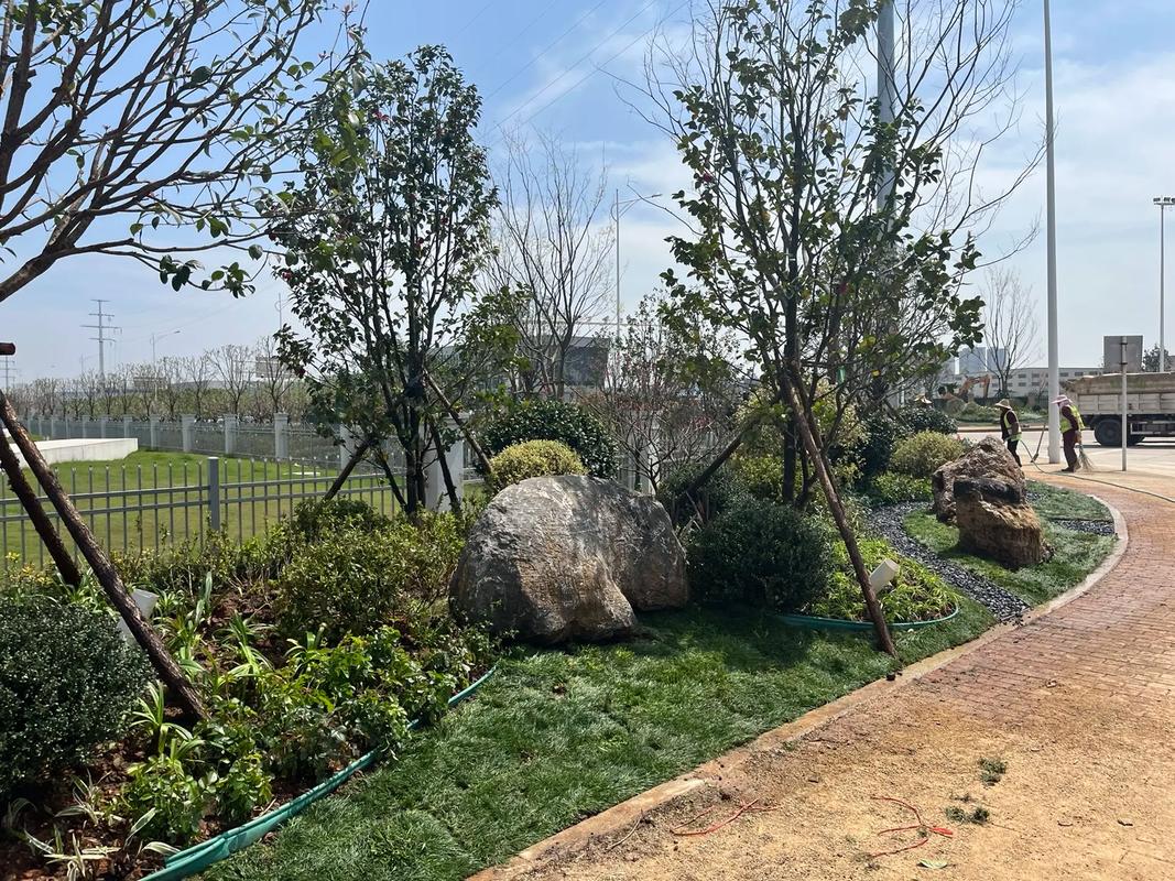 園林綠化工程 從施工現場實拍看生態美學的誕生